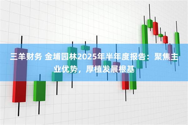 三羊财务 金埔园林2025年半年度报告：聚焦主业优势，厚植发展根基