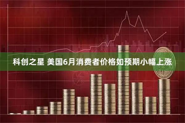 科创之星 美国6月消费者价格如预期小幅上涨