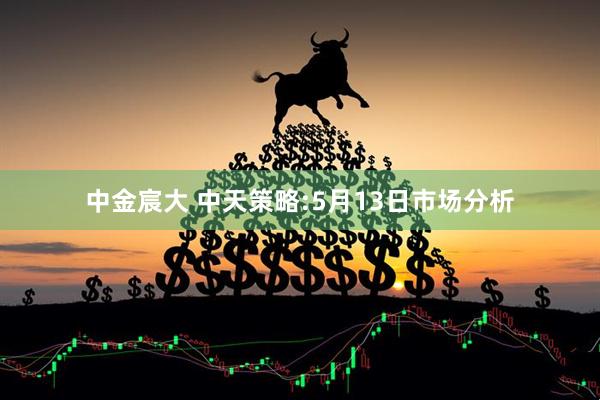 中金宸大 中天策略:5月13日市场分析