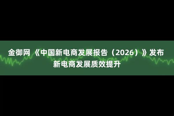金御网 《中国新电商发展报告（2026）》发布 新电商发展质效提升